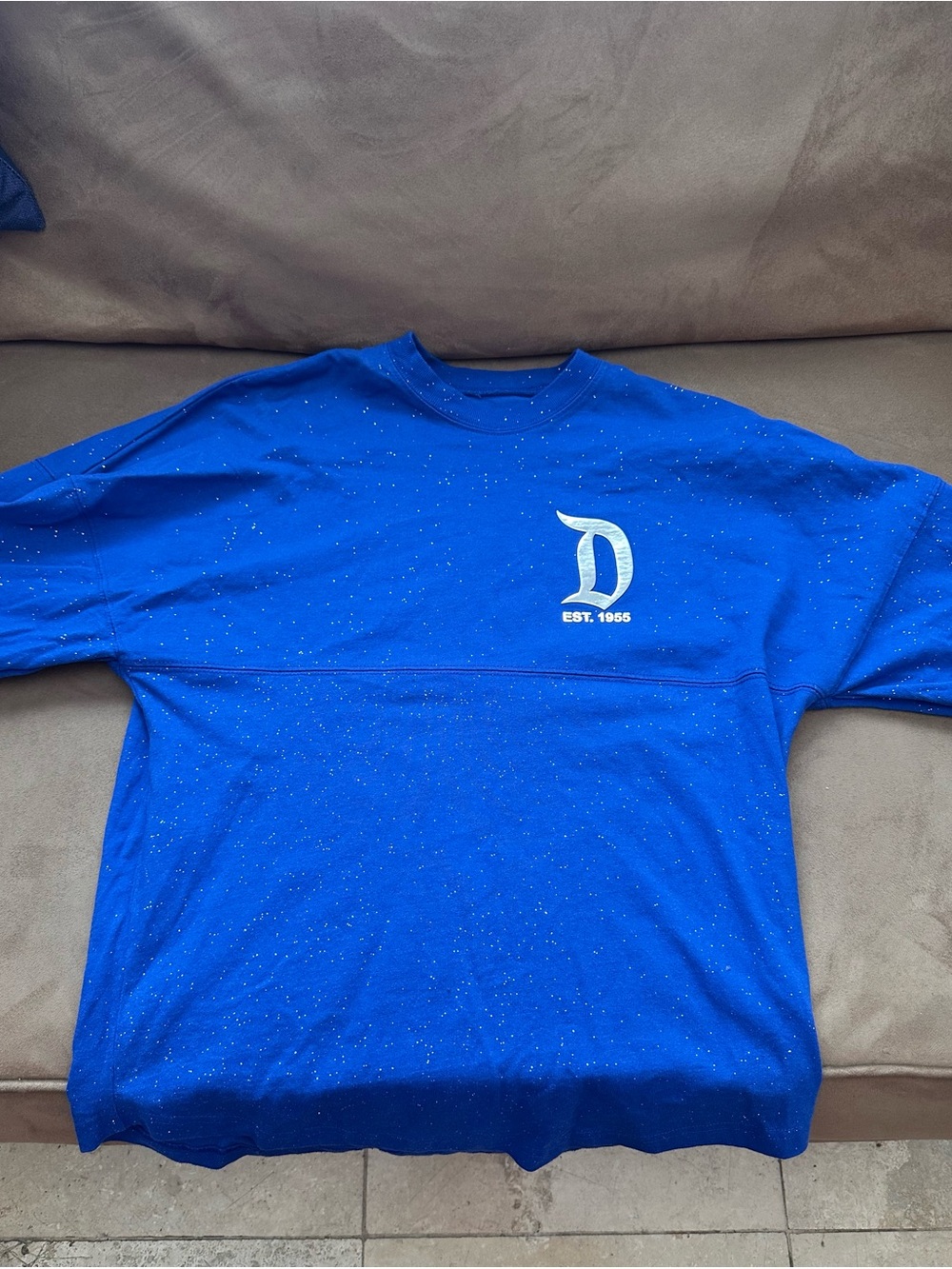 Disneyland Spirit Jersey